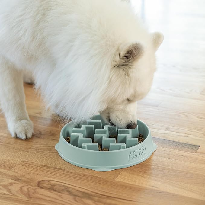 Outward Hound Fun Feeder Slo Bowl Dog Slow Feeder, Notch, Sage, 11.8", Large (Pack of 6)
