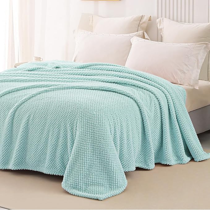 Whale Flotilla Soft Fleece Twin Size Bed Blanket, Light Blue | 60x80 Inch, Suitable for Bed, Fluffy Fuzzy Jacquard Blankets for All Season, Lightweight and Cozy
