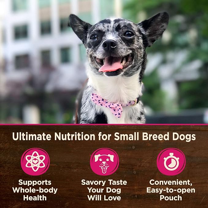 Wellness CORE Small Breed Mini Meals Pate Variety Pack Adult Wet Dog Food, Grain Free, Natural, 3 oz, Pack of 12