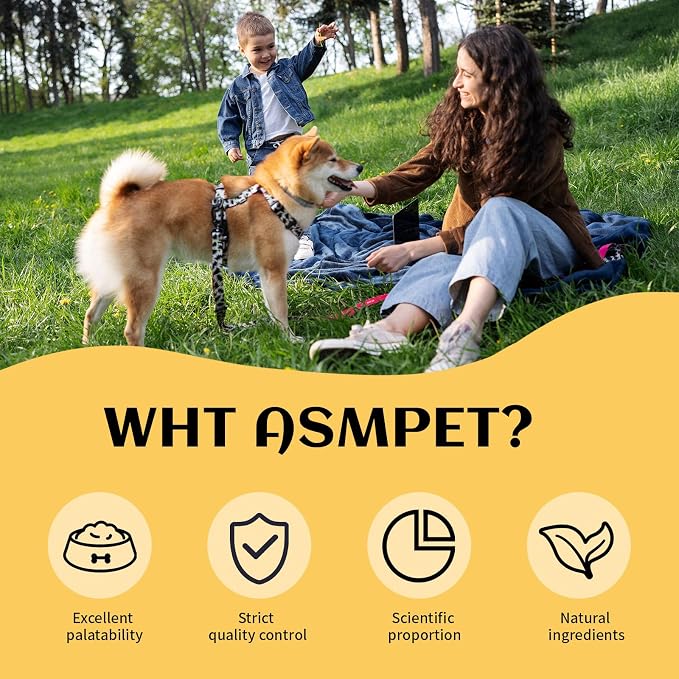 Dog Treats, Chicken Chips Grain Free Chewy Dog Snacks | Training Rewards for Small Medium Large Dogs