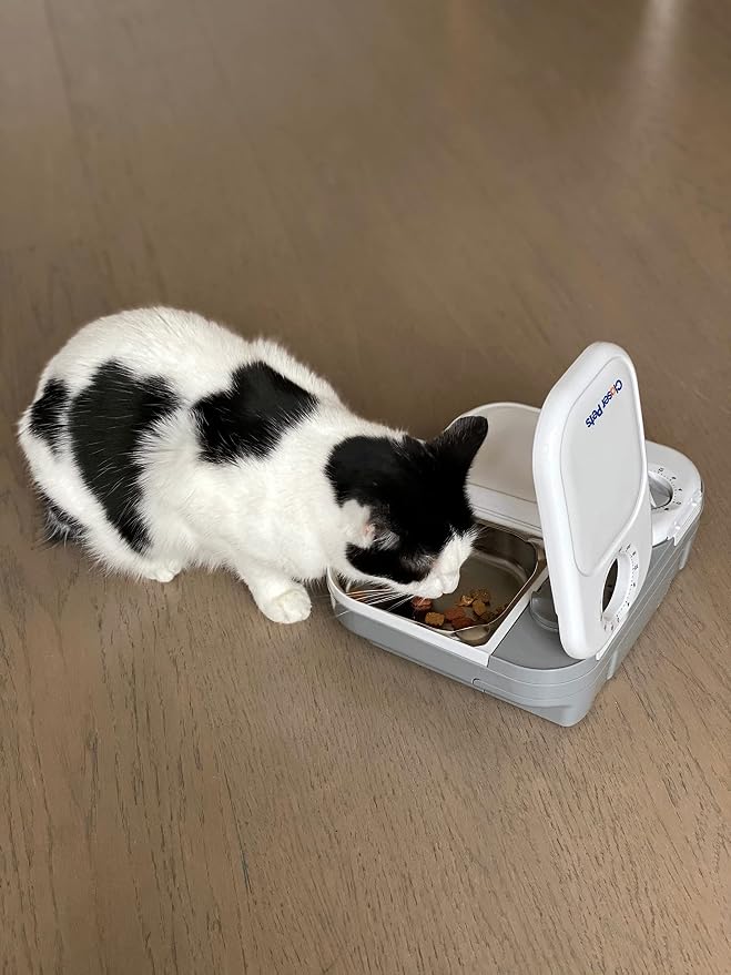Closer Pets C200 Two-Meal Automatic Pet Feeder for Dry & Wet Food, 400g Each