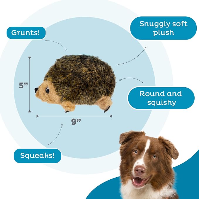 Outward Hound Hedgehogz Plush Dog Toy, Squeaks & Grunts, Medium, 9" x 6.5" | Soft Realistic Faux Fur, Round for Rolling & Chasing, Cuddle & Carry, Interactive Fetch, Light Chewers, Dogs & Puppies