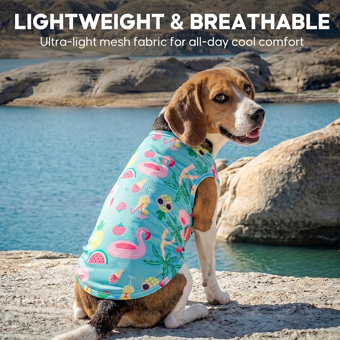 KYEESE 2Pack Dog Shirt, Lightweight Sun Protection Dog T Shirts for Small Dogs Boy Girl, Breathable Mesh Tank Top Sleeveless Puppy Reflective Vest, Soft Summer Dogs Clothes, Flamingo+Blue, S