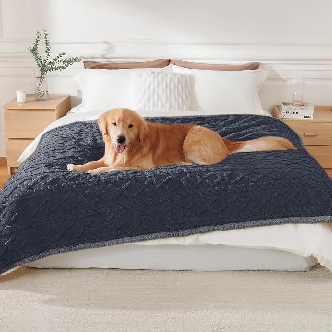 Luciphia Waterproof Blanket for Twin Bed Reversible Fleece Couch Cover | Reversible waterproof pet blanket soft fleece machine washable protect couch bed, Dark Grey 85" x 57"