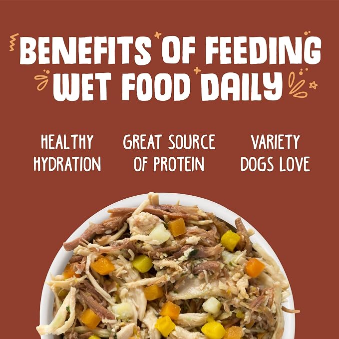 Weruva Classic Dog Food, Wok The Dog with Chicken, Beef & Pumpkin in Gravy, 5.5oz Can (Pack of 24)