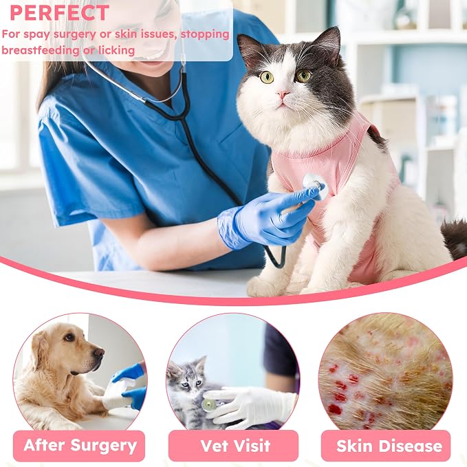 Hpetppy Cat Recovery Suit After Surgery, Breathable Cat Surgery Recovery Suit for Spay Abdominal Wounds or Skin Diseases, E-Collar Alternative Wear for Small Male Female Pets (Pink,L)