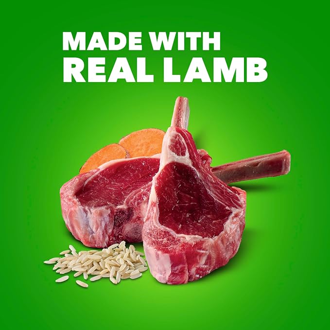 IAMS Proactive Health Ground Wet Dog Food, Lamb & Rice, 13 oz, 6-Pack | Real lamb, supports whole-body health, Omega-6 for skin & coat, no fillers or artificial flavors, 100% complete & balanced