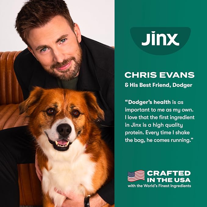 Jinx Grain Free Dry Dog Food - Real Salmon, Sweet Potato & Carrot, 4lb | Premium Kibble for Digestive Support & Healthy Immunity - No Fillers, All Lifestages (Puppy, Adult & Senior), Breeds & Sizes