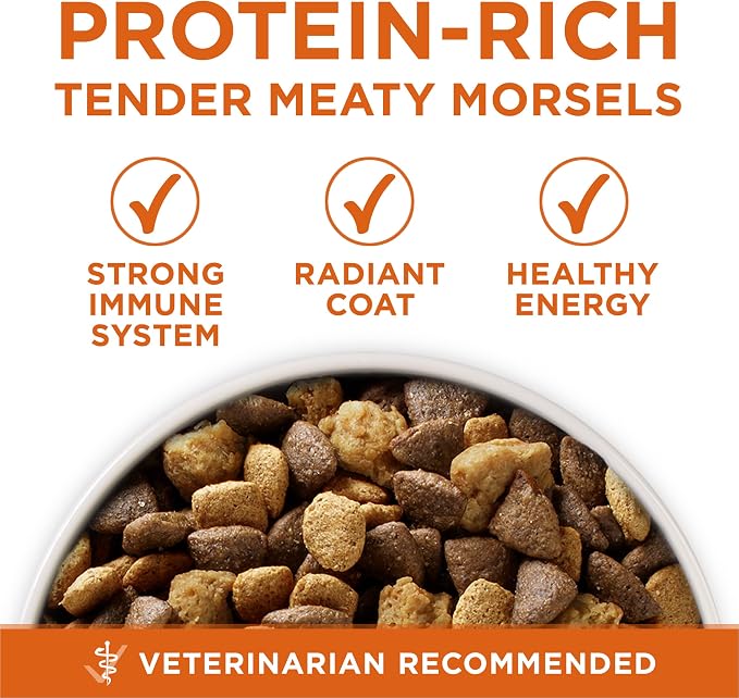 Purina ONE Plus Healthy Weight Dry Dog Food, Real Turkey, 13.1 lb Bag | High protein dog food for weight control with turkey as the first ingredient, helps promote healthy weight and lean muscle