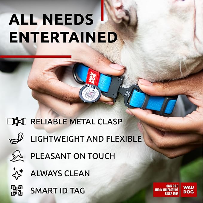 WAUDOG Waterproof Dog Collar Airtag Holder QR Tag Small Medium Large Dogs | Water and Dirt Resistant, Quick Dry QR Pet Tag Adjustable Durable Comfort for Male and Female Dogs Outdoor Walking Training