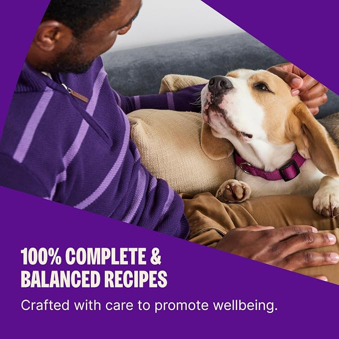 Wellness Complete Health Adult Dry Dog Food, Wholesome Grain Kibble, Natural, Chicken and Oatmeal Recipe, 15 lb Bag