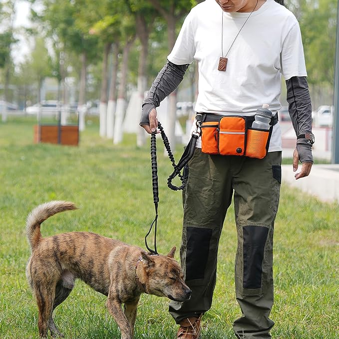 Hands Free Dog Leash Waist Pack with Bungee & Treat Pouch Oxford Water-Resistant Multi-Pocket Belt for Walking Hiking Jogging and Dog Walking (Lake Blue)