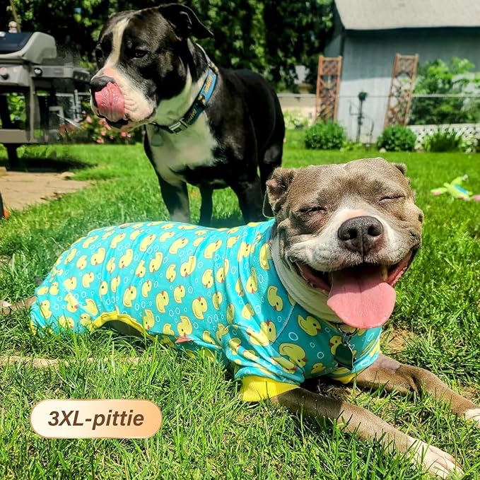 KYEESE Velvet Dog Pajamas for Large Dogs Soft Onesie Shirt, Whale | 4-Way Stretch, Lightweight & Breathable, Reduces Shedding, Gentle on Sensitive Skin, Recovery Support, Easy Potty Breaks
