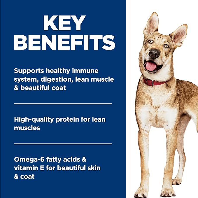 Hill's Science Diet Adult 1-6 Wet Dog Food | #1 Veterinarian Recommended, Chicken & Beef, 13 oz. Cans, 12-Pack