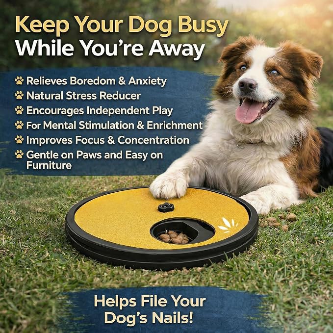 Dog Scratch Board with Treat Box – Calm & Stress-Free Nail Care, Hidden Reward System, Non-Slip Design, Quiet Alternative to Grinders