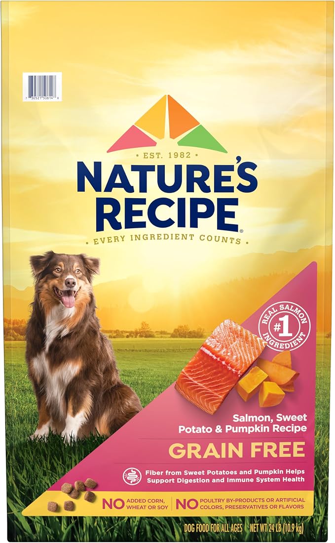 Nature's Recipe Grain Free Salmon Dry Dog Food, 24 lb. Bag | Fiber From Sweet Potatoes & Pumpkin Helps Support Digestion and Immune System Health