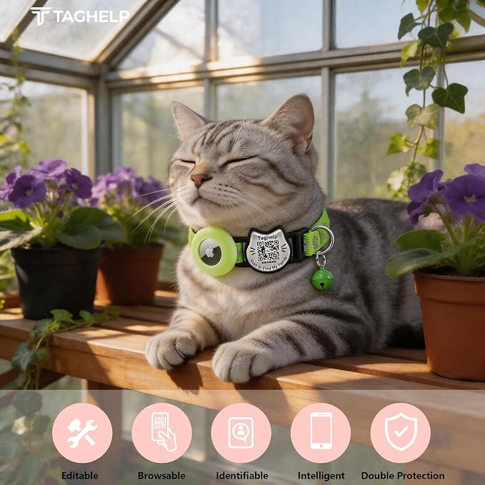 Cat Collar with AirTag Holder, QR Code Tag and Bell (Neon Green)