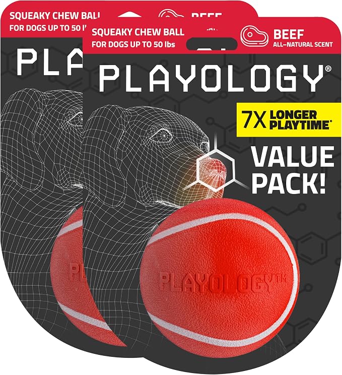 Playology Squeaky Chew Ball Dog Toy - Medium, Beef Scent, 2-Pack