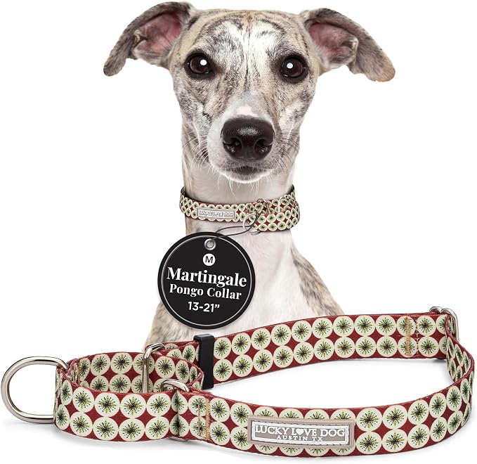 Lucky Love Dog Martingale Collar for Medium Dogs No Slip – Pongo, Medium