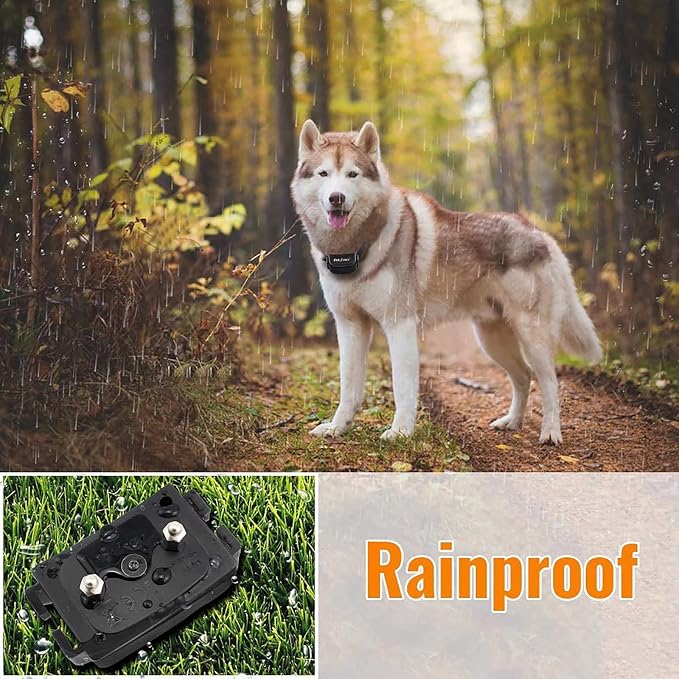 Petrainer Dog Training Collar with Remote - Bark Collar, Beep Vibration, Static Electric, 1000FT Range