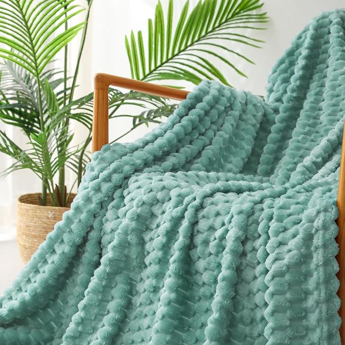 Exclusivo Mezcla 3D Fleece Queen Size Blanket for Bed, Celadon | Extra Soft Fuzzy Plush Lightweight Bed Blankets, Cozy Fluffy Decorative Blankets for All Seasons, 90x90 Inches