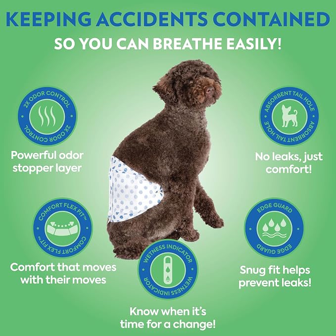 OUT! PetCare Male Dog Diapers, Disposable Belly Bands, XS/S, 96 Count | Dog Belly Bands, Potty Training, Incontinence Support, Leak Proof, Disposable Wraps, Male Wrap, Puppy Essentials, Dog Wrap