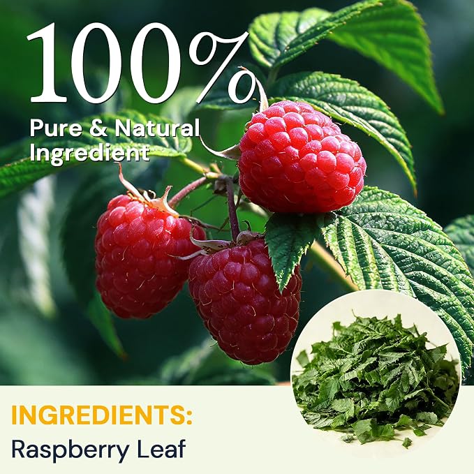 Raspberry Leaf Tea - 100 Teabags, Naturally Caffeine-Free, Mild & Herbal Taste