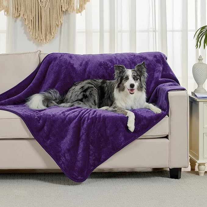 Soft Waterproof Blanket for Bed Couch Sofa, Dark Purple, 60x80inches | Liquid Pee Proof Pet Blanket for Dog Puppy Cat, Reversible Sherpa Fleece Blanket for Couch Cover, Furniture Protector