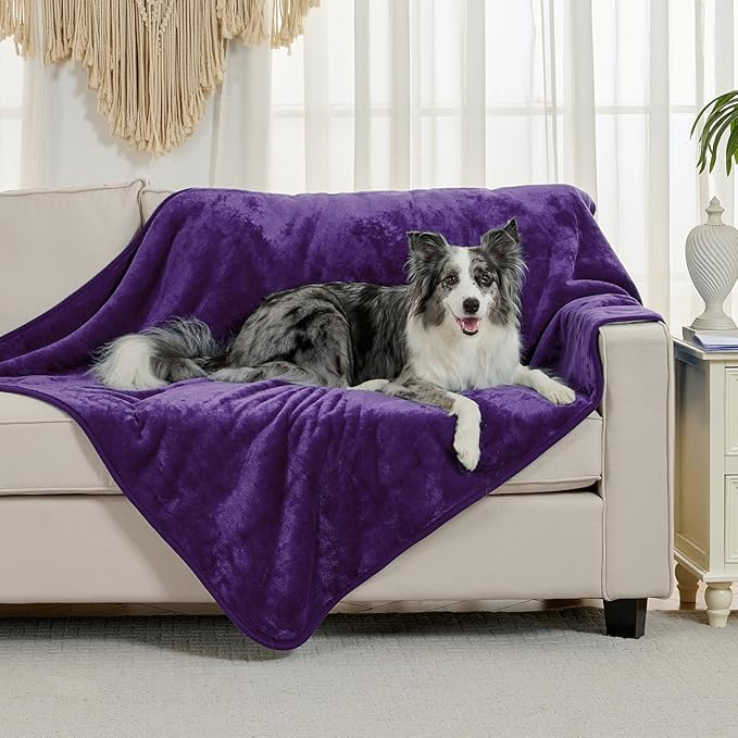 Soft Waterproof Blanket for Bed Couch Sofa, Dark Purple, 50x60inches | Liquid Pee Proof Pet Blanket for Dog Puppy Cat, Reversible Sherpa Fleece Blanket for Couch Cover, Furniture Protector