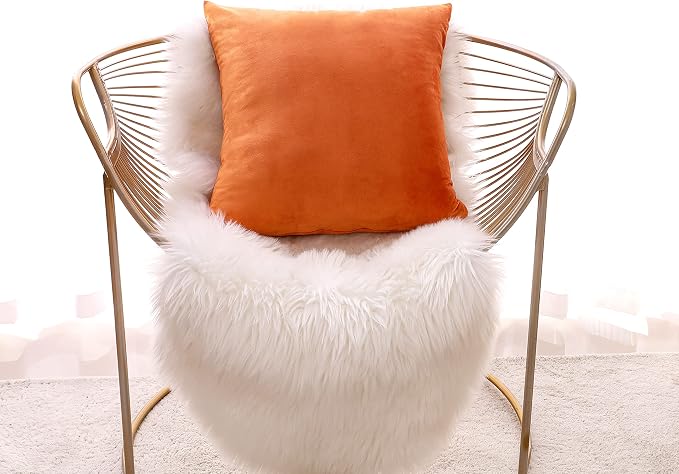 NiNi ALL Orange Velvet Throw Pillow Covers 18x18 Pack of 2 Decorative Couch