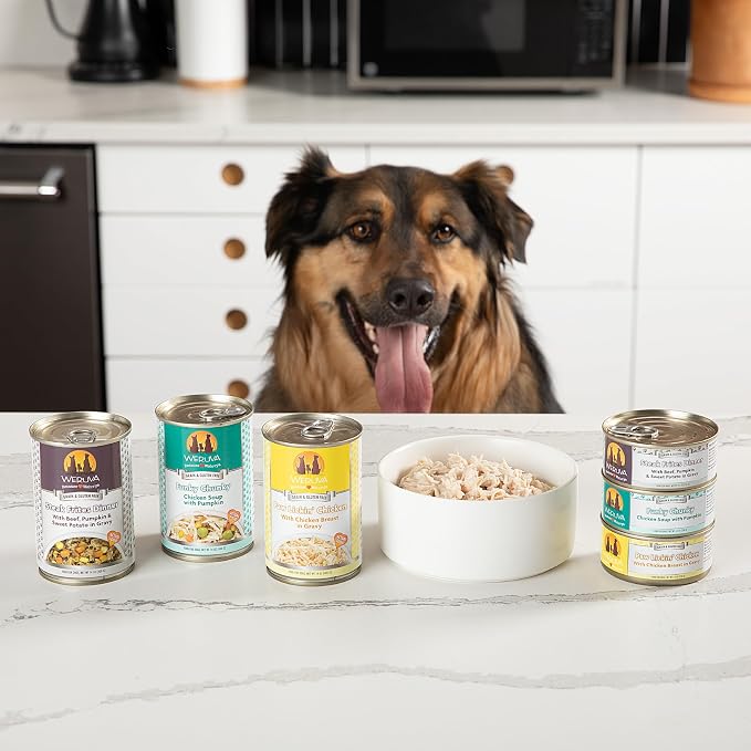 Weruva Classic Dog Food, Wok The Dog with Chicken Breast, Beef & Pumpkin in Gravy, 14oz Can (Pack of 12)
