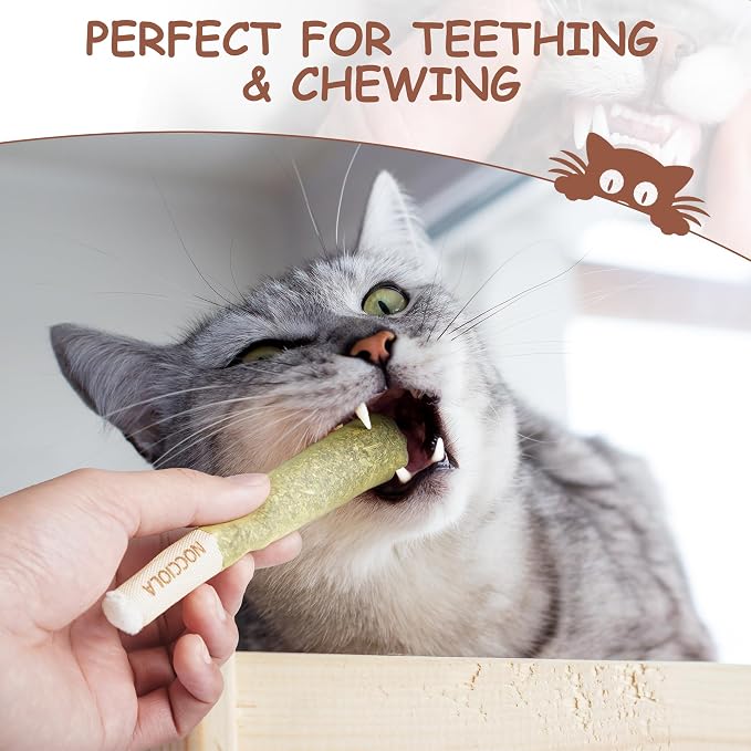 Nocciola 3 Pack Catnip Toys for Cats, Funny Cat Toys Filled with 100% Pure Organic Catnip, Safe Kitten Teething Chew and Kicker Toys, Stress Relieving Fun for Indoor Cats, Brown
