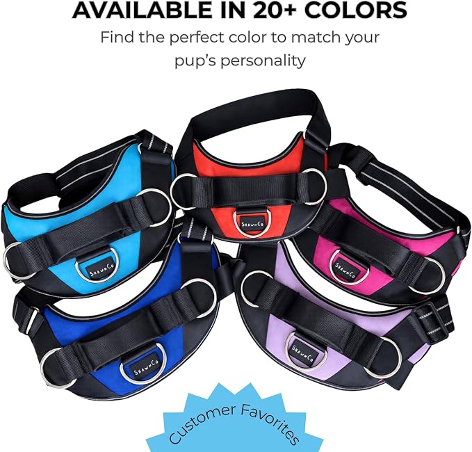 ShawnCo Essential Dog Harness, No-Pull Pet Vest (Oceanic Blue,XS) | 3 Leash Clips, Easy On, No-Choke, Reflective, Adjustable Fit, Padded Comfort, Control Handle, For Small, Medium & Large Dogs