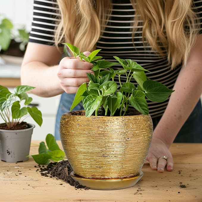 Ceramicfor Indoor Plant Pot 6 Inch - Ceramic Pot for Plants Outdoor Planter with Drainage Hole and Saucer Round Decorative Planter Modern Flower Pot for Home Decor Gold