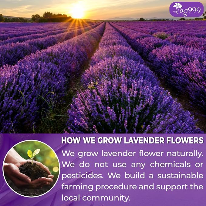 TOG999, Premium 120 Lavender Flower Tea Bags, 100% Natural & Pure. Loose Flower Lavender Herbal Tea. No Sugar, No Caffeine, No Gluten, Vegan.
