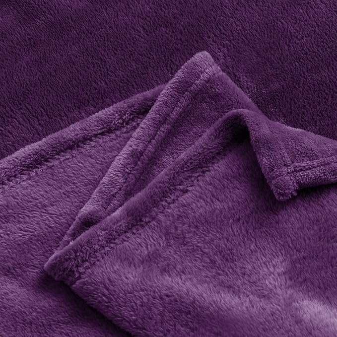 BEDELITE Fleece Blanket Soft Plush Throw for Couch Purple 50"x60" | Ultra Soft Fleece, Plush Microfiber, Lightweight Warmth, All Season Comfort, Fade Resistant, Machine Washable, Couch Sofa Bed