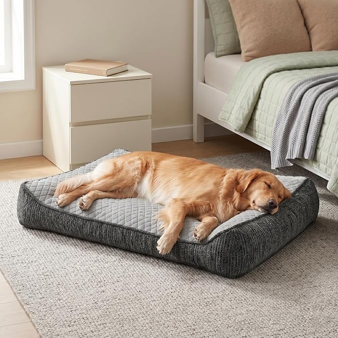 JOEJOY Orthopedic Dog Bed Medium Sized Dogs, Extra Thick Supportive Big Dog Couch Bed with Sides, Ultra Soft Pet Bed Sofa, Light Grey, 35''x25''