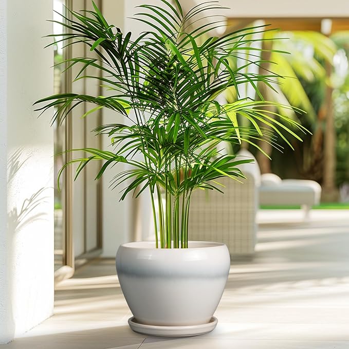 Ceramicfor Ceramic Planter - 8 Inch Plant Pot with Drainage Hole and Saucer, Glaze Round Flower Pot for Home Garden Patio Office, White
