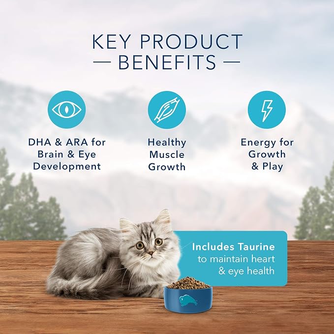 Blue Buffalo Wilderness High Protein, Natural Kitten Dry Cat Food, Chicken 2-lb (Pack of 2)