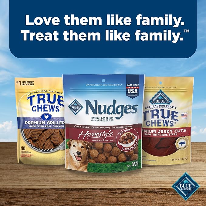 Blue Buffalo Nudges Homestyle Natural Beef and Rice Dog Treats (Pack of 4)