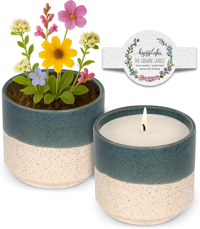 Hyggelight - The Growing Candle, Lilac Scented Aromatherapy Candles, 8.5oz Pot, 100% Soy, Willow