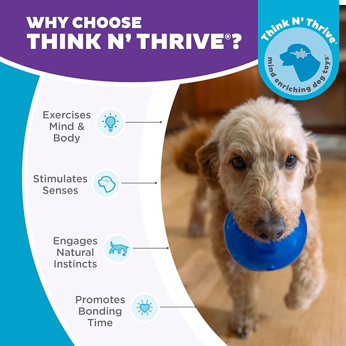 Outward Hound Lil' Snoop Interactive Treat Dispensing Dog Toy, Blue, 3.9" | Rolls & Bounces, Treat Stuffer, Puzzle Ball & Slow Feeder, Mint Scented, Easy Clean, No BPA, Enrichment, Small to Medium Dogs