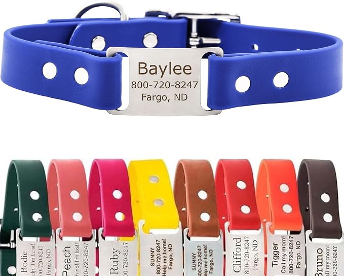 dogIDs Personalized Dog Collar – ScruffTag Custom Waterproof Biothane Dog Collar with Laser-Engraved Name, Durable & Odor-Resistant – USA Made | Blue, 1 in x 16 in (Fits Neck Sizes 14-18 in)