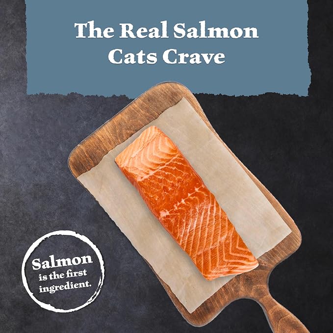 Blue Buffalo Wilderness Salmon Adult Dry Cat Food, Grain-Free, 15 lb | Real Salmon #1 Ingredient, High Protein Nutrition, Supports Immunity with Antioxidant-Rich LifeSource Bits