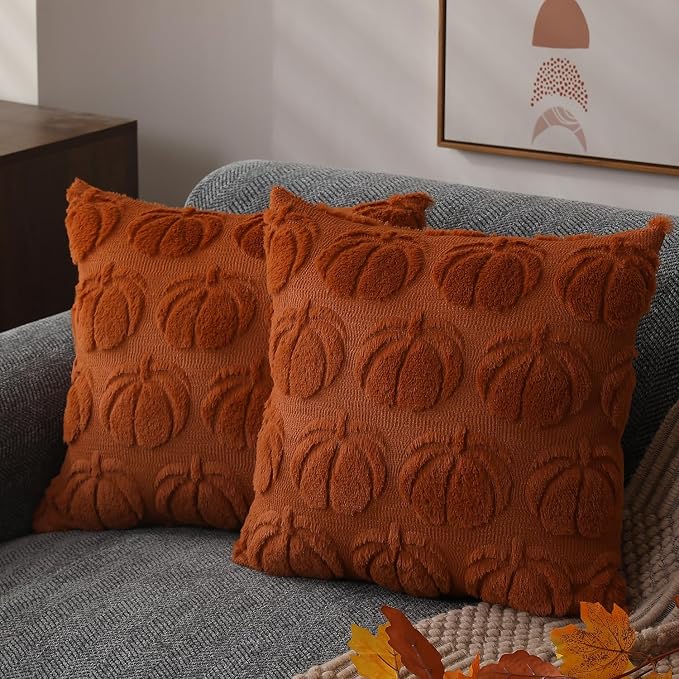 DFXSZ Fall Pillow Covers 20x20 2Pcs Rust Pumpkin Fall Decorations for Home | Fall decor Set of 2 Throw Pillow Cases Soft Plush Faux Fur Wool Couch Cushion for Chair Sofa Bedroom Living Room Home Decor