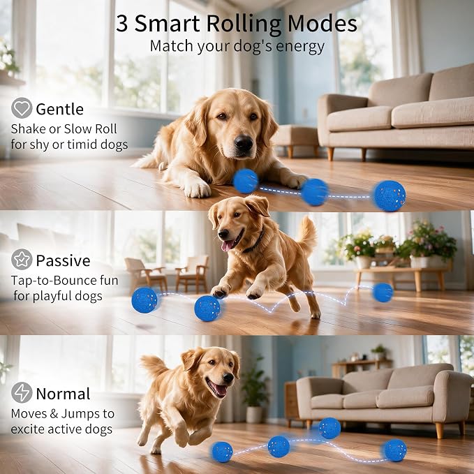 Snitch Ball, Interactive Dog Ball Replacement Shell, Blue