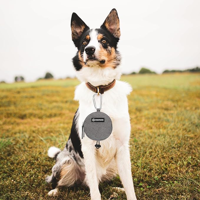Dog Poop Bag Holder for Leashes- Dog Treat Pouch with Waterproof Zipper,Puppy Training Small Bag with Carabiner & Bungee Toggle,Two Pockets for Dry or Wet Treats-Pet Travel Walking Essentials (Grey)