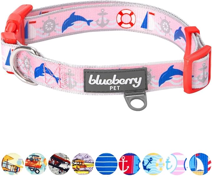Blueberry Pet Essentials 5 Patterns Smart Chic Bon Voyage Ocean Scenery Dolphin Designer Adjustable Dog Collar, Small, Neck 12"-16"