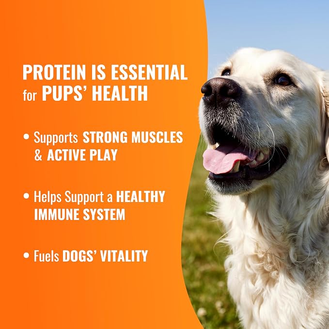 GOOD 'N' FUN Twists Long-Lasting Dog Treat with Real Bully, 6 Count | Premium Chicken, Bully & Beef Hide Chew, High Protein Supports Strong Muscles and Healthy Immune System, For Adult Dogs