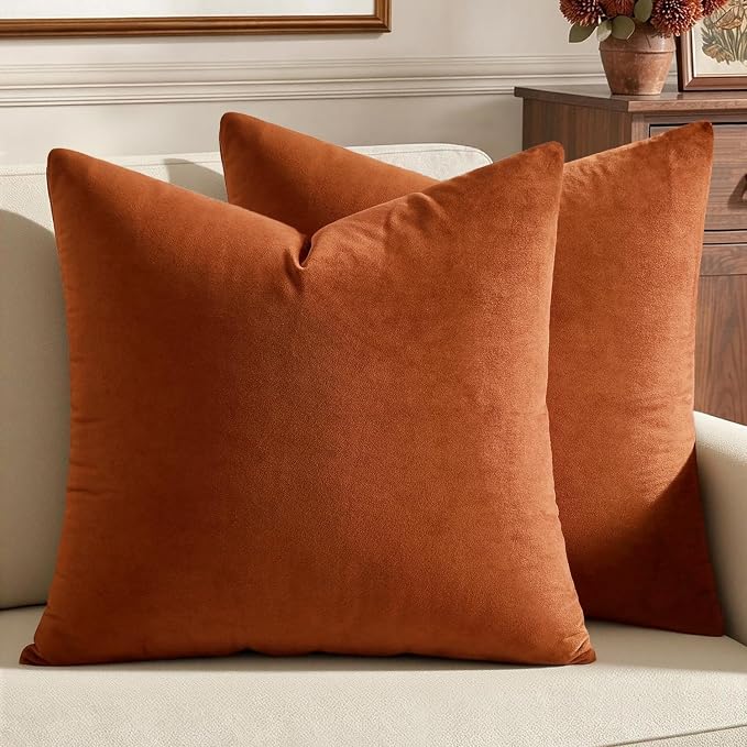 MIULEE Velvet Fall Throw Pillow Covers 20x20 Inch Pack of 2 Rust | Soft Solid Decorative Pillow Covers, Modern Luxury Home Decor, for Couch Chair Sofa Bedroom Livingroom